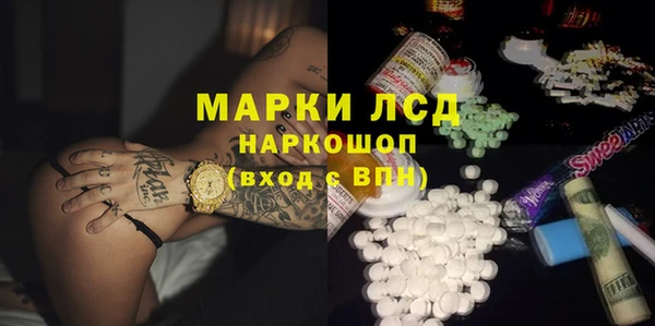 прущие грибы Медвежьегорск