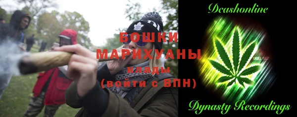 прущие грибы Медвежьегорск