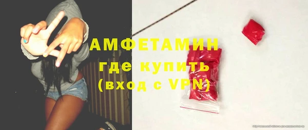 прущие грибы Медвежьегорск