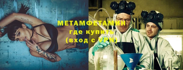 прущие грибы Медвежьегорск