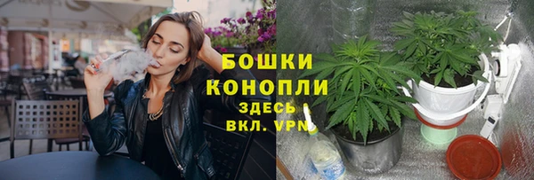 Альфа ПВП Мегион