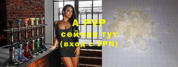 прущие грибы Медвежьегорск