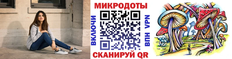 где купить   Жуков  Галлюциногенные грибы Psilocybine cubensis 